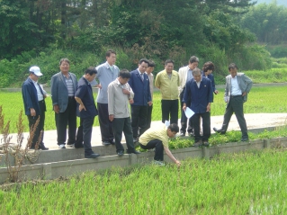 가뭄 및 벼 병충해 피해지역 현장방문 대표이미지