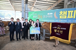 제3회 울산 한우경진대회 대표이미지