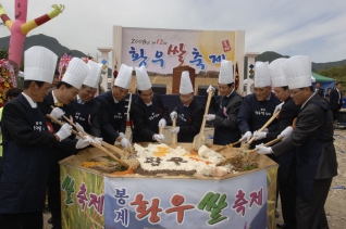 봉계 황우쌀 축제 참석 대표이미지