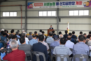 서생농협 배 산지공판장 개장식 대표이미지