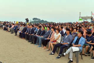 2017 울산진하 세계여자비치발리볼 대회 개막식 대표이미지