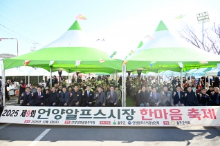언양알프스시장 한마음축제 대표이미지