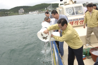 말쥐치 방류 행사 대표이미지